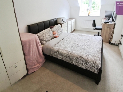 Picture 12